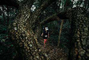 BIB: 
                            <button type="button" onclick="openModal(25686283)" class="btn btn-primary btn-sm float-right btn-popup" data-toggle="modal" data-target=".modal-high-quality">
                        <i class="fas fa-shopping-cart"></i> Add to Cart
                    </button>
                                            <button type="button" onclick="isThisMe(25686283, true)" class="btn btn-success btn-sm float-right btn-popup btn-isme hidden" data-toggle="tooltip" data-placement="bottom" title="นี่คือรูปของคุณใช่ไหม คลิกที่นี่เพื่อเอาเข้าอัลบั้ม">
                        <i class="fas fa-plus"></i> Add to album
                    </button>
                    <button type="button" onclick="isThisMe(25686283, false)" class="btn btn-warning btn-sm float-right btn-popup btn-isnotme hidden">
                        <i class="fas fa-ban"></i> Remove from album
                    </button>